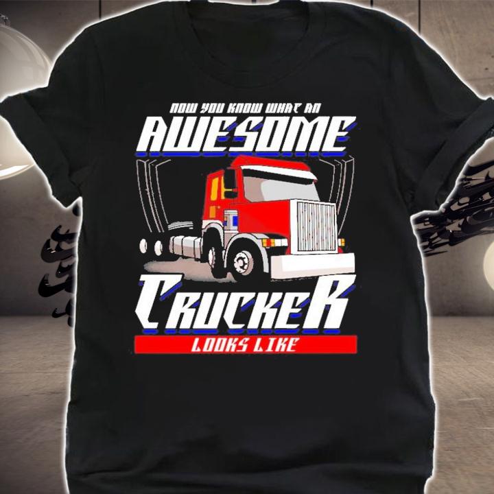 Trucker Now You Know What An Awesome Trucker Looks Like Funny Saying T-Shirt t-shirt