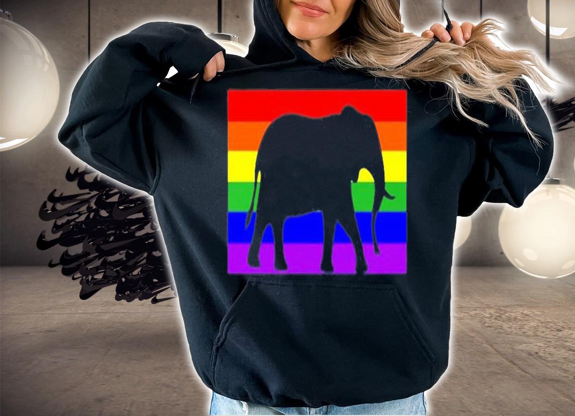 Cute Baby Elephant Love Lgbtq Gay Pride Flag Stuff Queer Art T-Shirt t-shirt hoodie