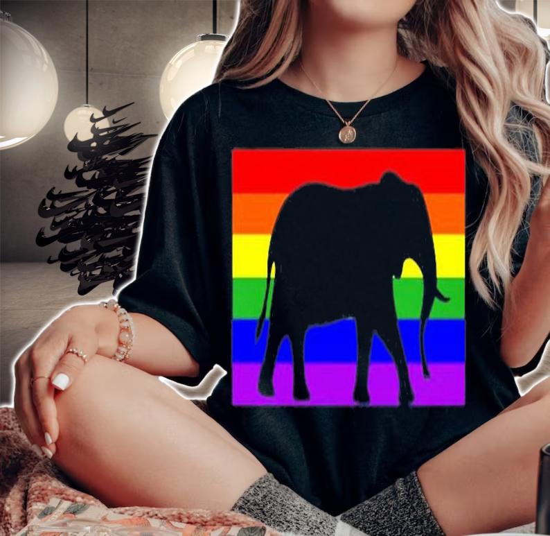 Cute Baby Elephant Love Lgbtq Gay Pride Flag Stuff Queer Art T-Shirt t-shirt woman shirt