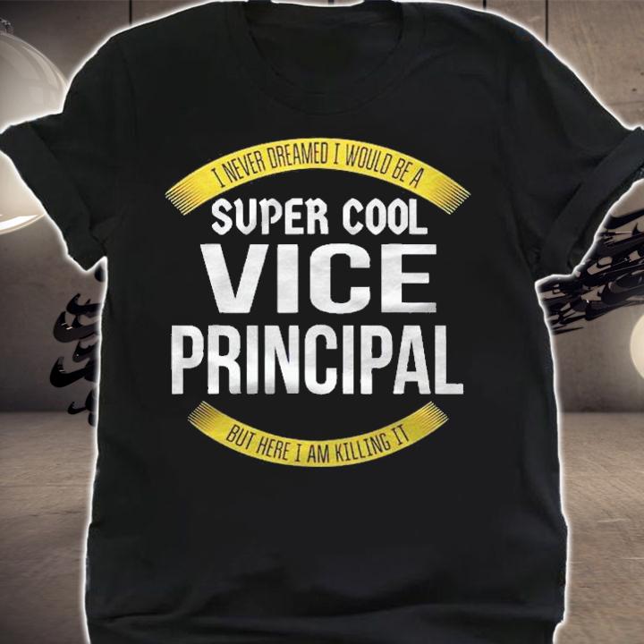 Funny Vice Principal Gifts Appreciation Shirt shirt
